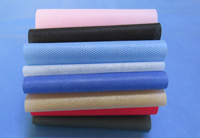 炎陵涤纶（PET）无纺布是什么