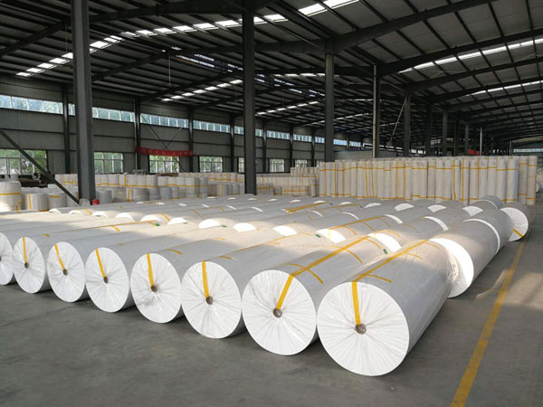 炎陵狭缝式涤纶纺粘无纺布